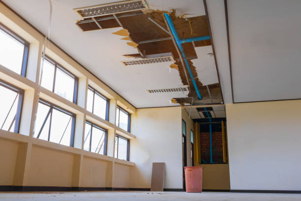 Best Water damage cleanup near me  in Valparaiso, IN