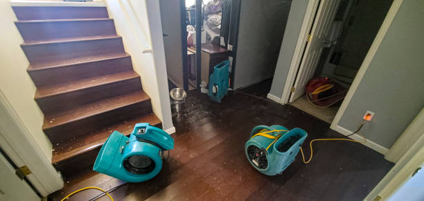 Best Emergency water damage restoration  in Valparaiso, IN