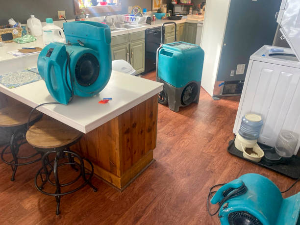 Best Water damage contractors near me  in Valparaiso, IN