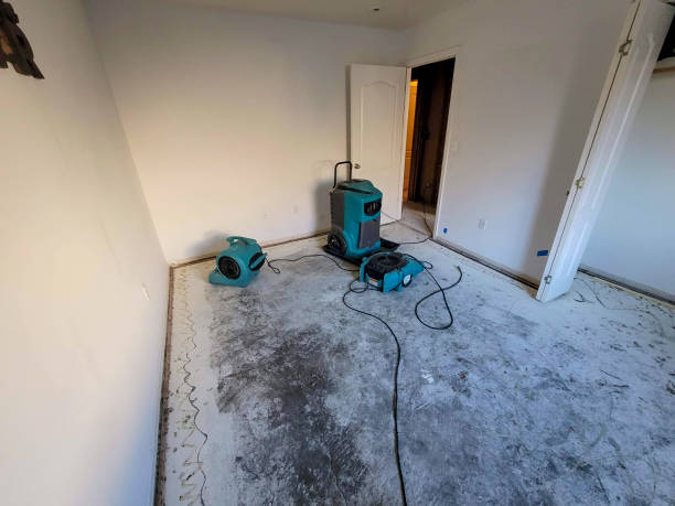 Best Sewage cleanup and water damage restoration  in Valparaiso, IN