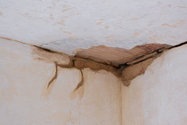 Valparaiso, IN Water damage restoration Company