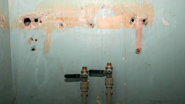 Best Water damage restoration specialists  in Valparaiso, IN