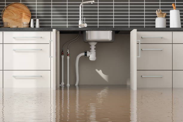 Best Water damage restoration services  in Valparaiso, IN