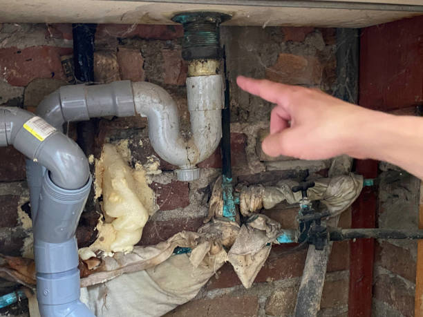 Best Emergency water extraction  in Valparaiso, IN