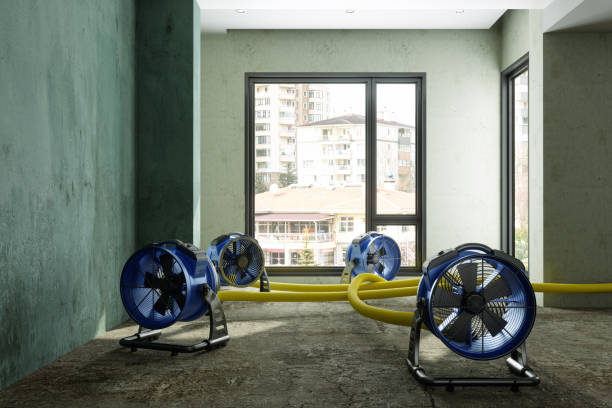  Valparaiso, IN Water damage restoration Pros