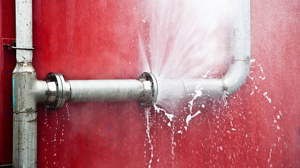 Best Flood restoration services  in Valparaiso, IN