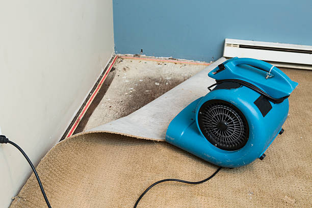Best Residential water damage restoration  in Valparaiso, IN